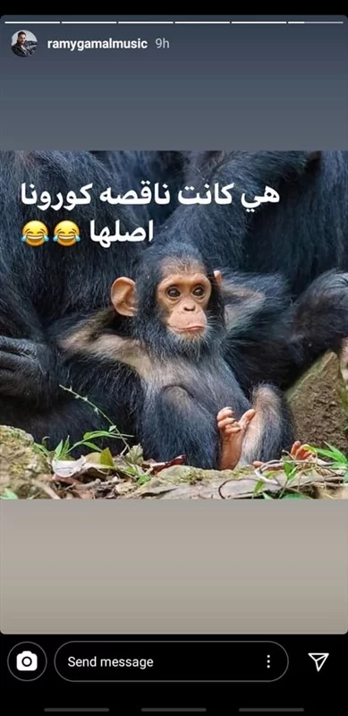رامى جمال يثير الجدل على السوشيال ميديا .. والسبب قرد