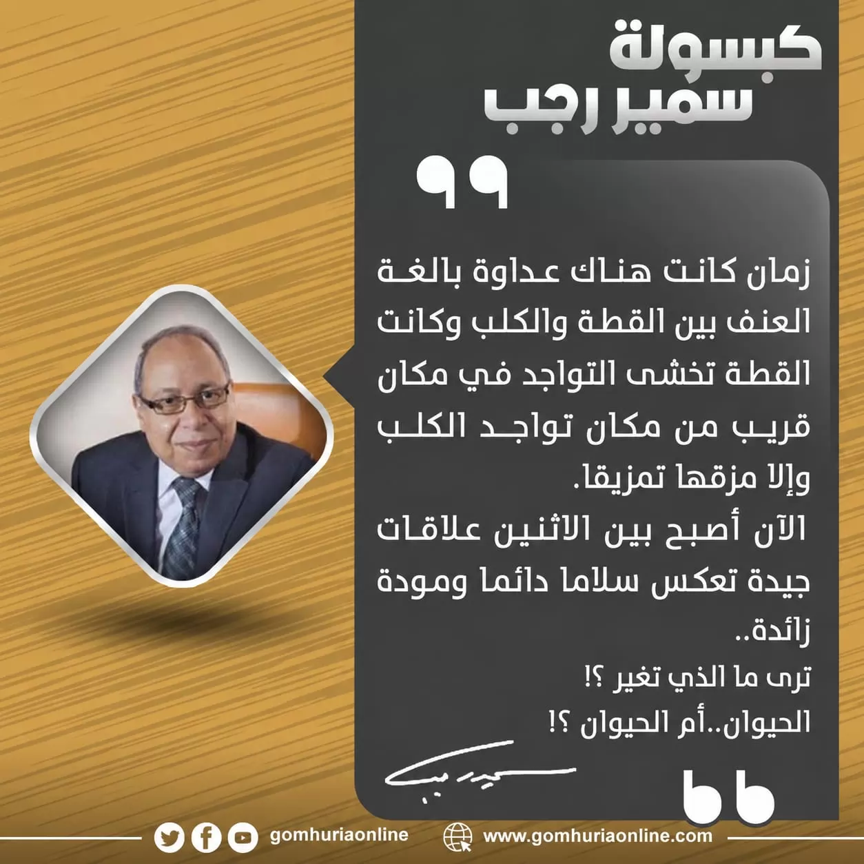 كبسولة سمير رجب