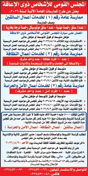 المجلس القومى للاشخاص ذوى الاعاقة