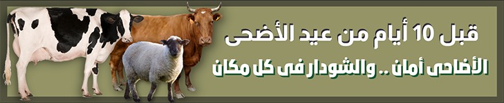 الاضاحى امان ... والشوادر فى كل مكان