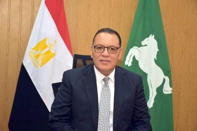 الدكتور ممدوح غراب  محافظ الشرقية 
