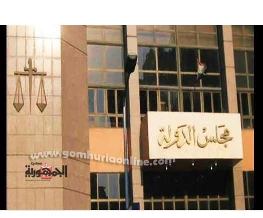 مجلس الدولة