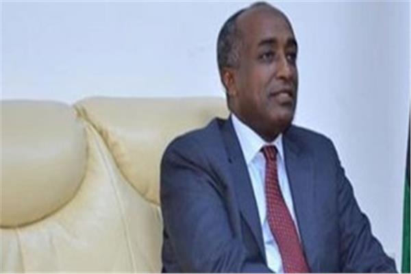السفير محمد أبو بكر