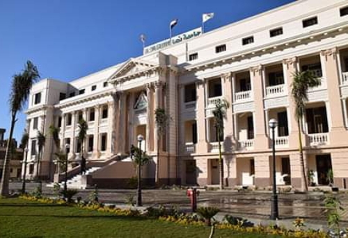 جامعة بنها   الدكتور ناصر الجيزاوي   