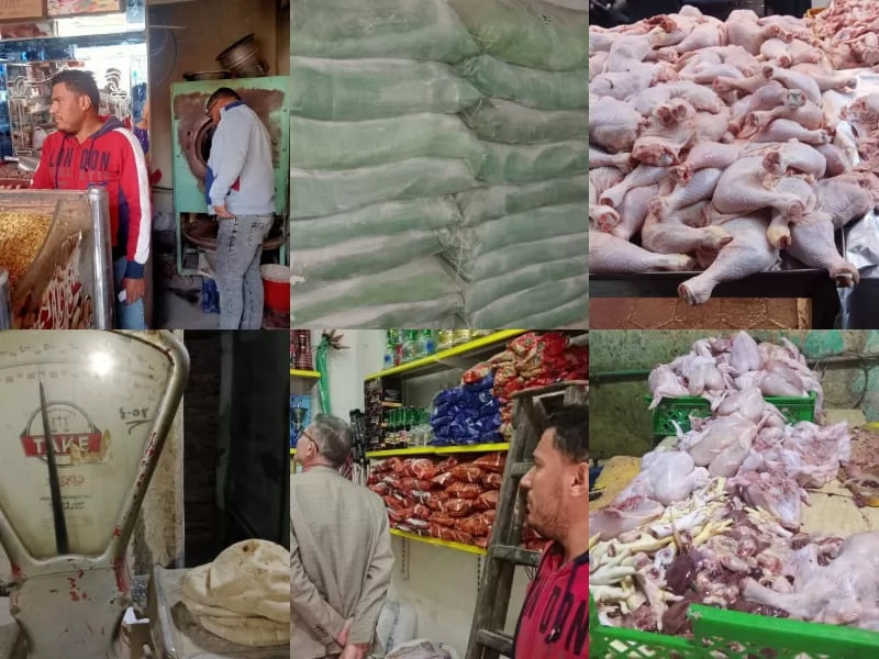 تموين القليوبية