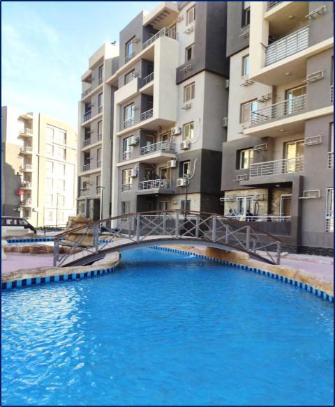 مى عبدالحميد تكشف عن موعد وأماكن التقدم لمشروعات 