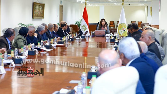 الدكتورة منال عوض وزيرة التنمية المحلية خلال الإجتماع بسكرتيري العموم