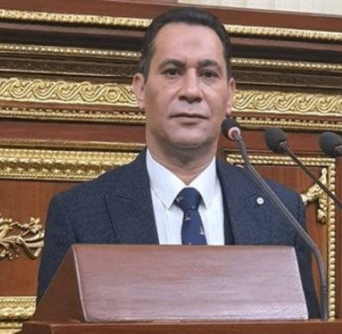النائب احمد عاشور عضو مجلس النواب 