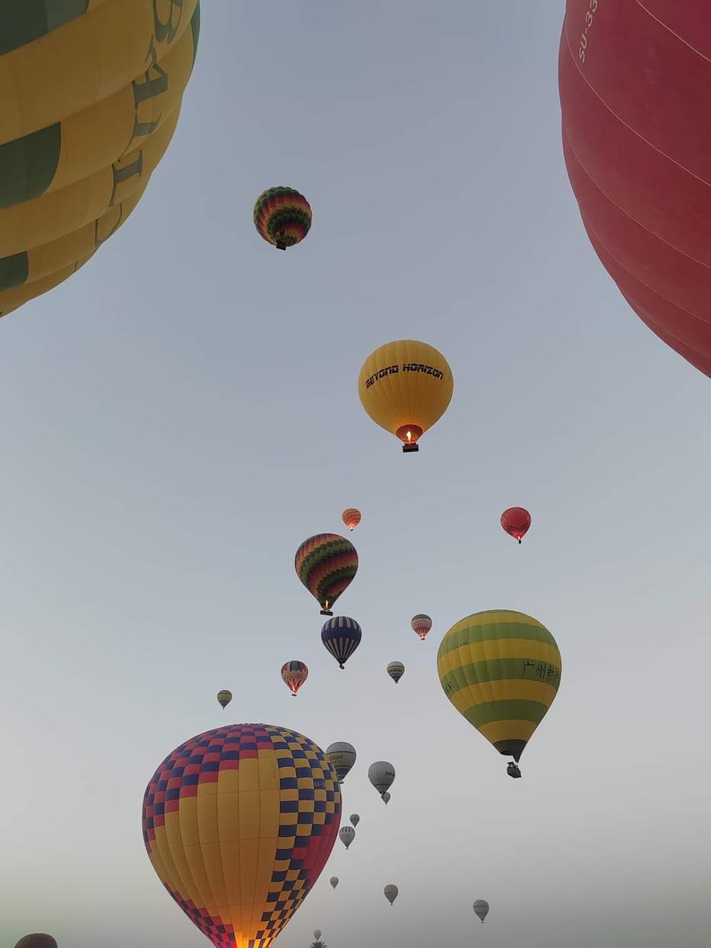 أرشيفية 