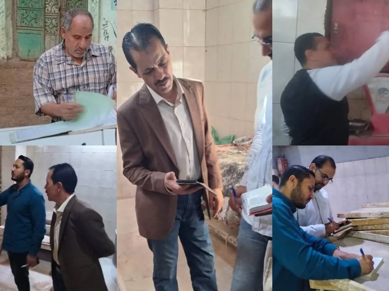 تموين القليوبية