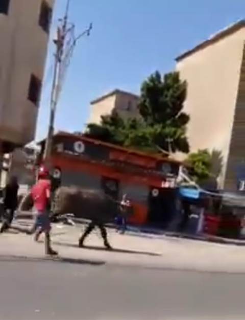 بالفيديو. هروب عجل أضحية هائج قبل ذبحه في الإسماعيلية