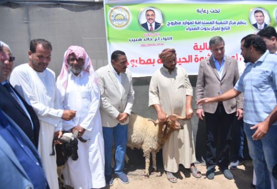 محافظة مطروح