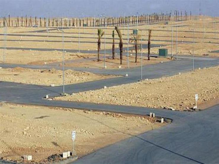 الدكتور عاصم الجزار 
