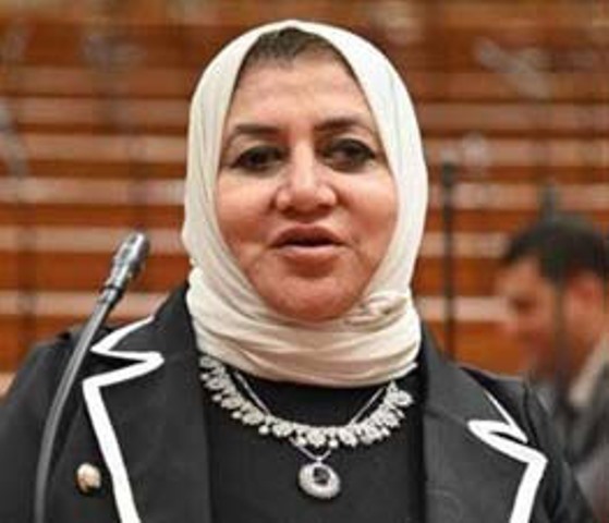 النائبة الدكتورة حنان عبده عمار