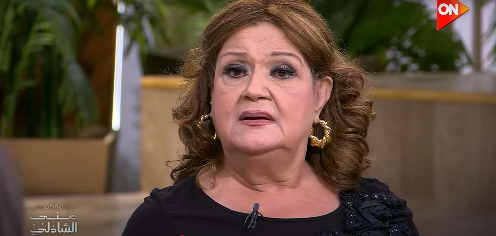 الفنانة ميمي جمال