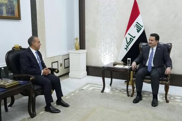 وزير الخارجية بدر عبدالعاطي