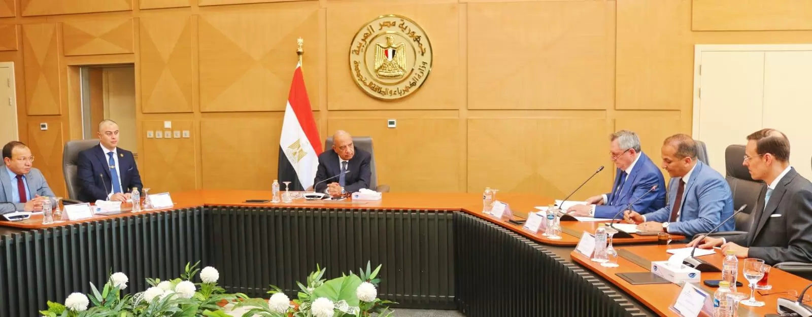 الدكتور محمود عصمت وزير الكهرباء
