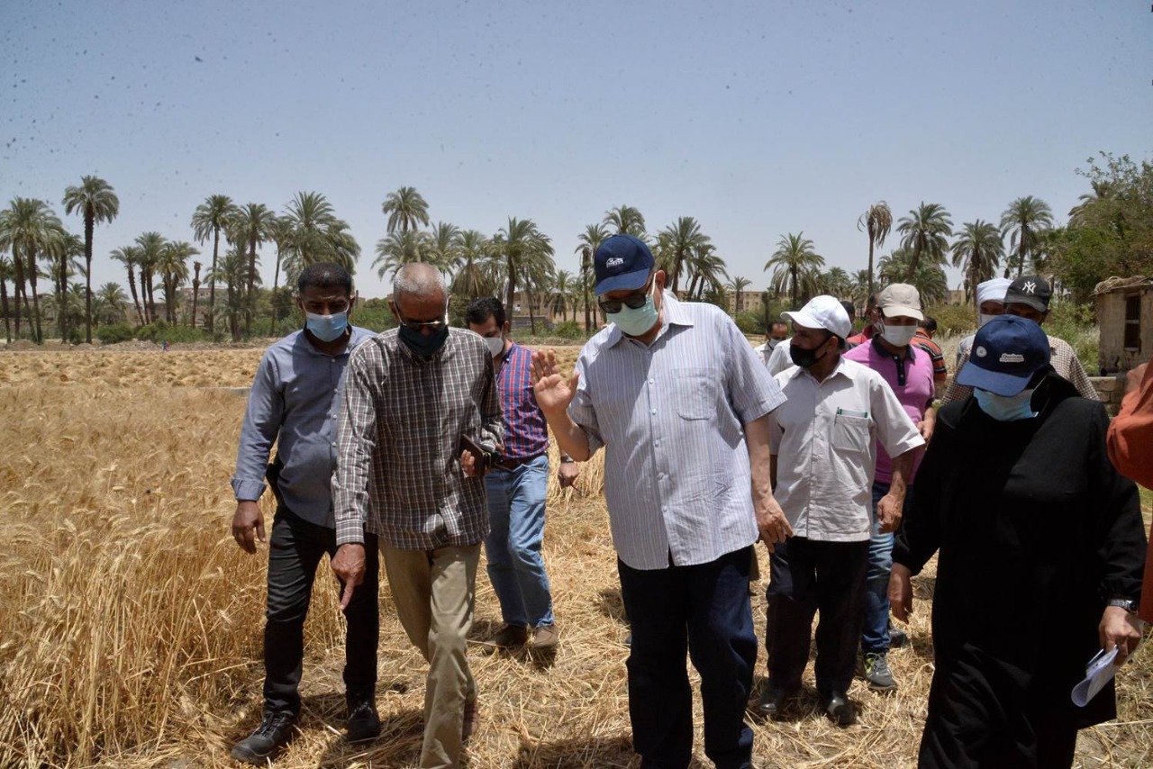محافظ أسيوط يتفقد حصاد محصول القمح.. ويوجه بتحفيز المزارعين لتوريد المحصول للشون والصوامع