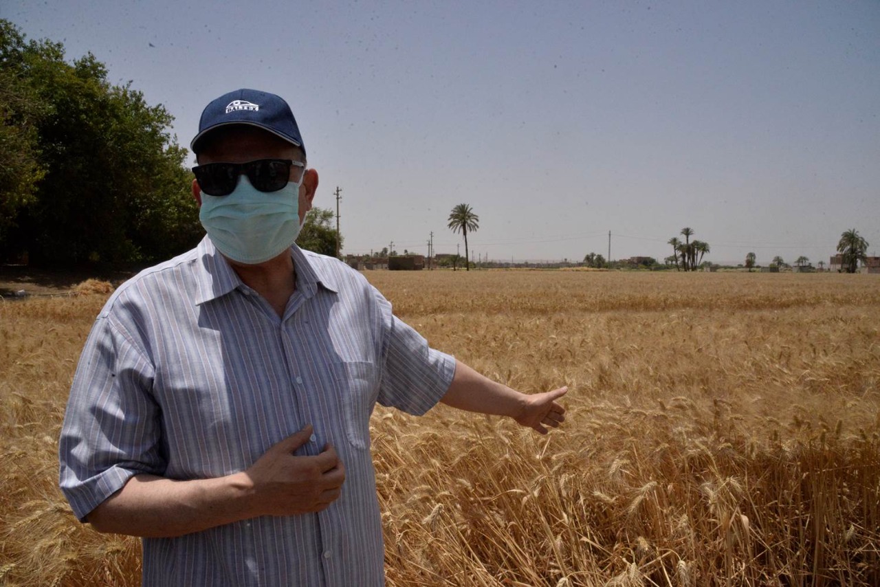 محافظ أسيوط يتفقد حصاد محصول القمح.. ويوجه بتحفيز المزارعين لتوريد المحصول للشون والصوامع