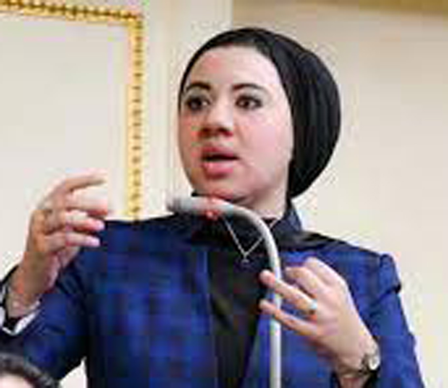 النائبة أميرة صابر عضو مجلس النواب
