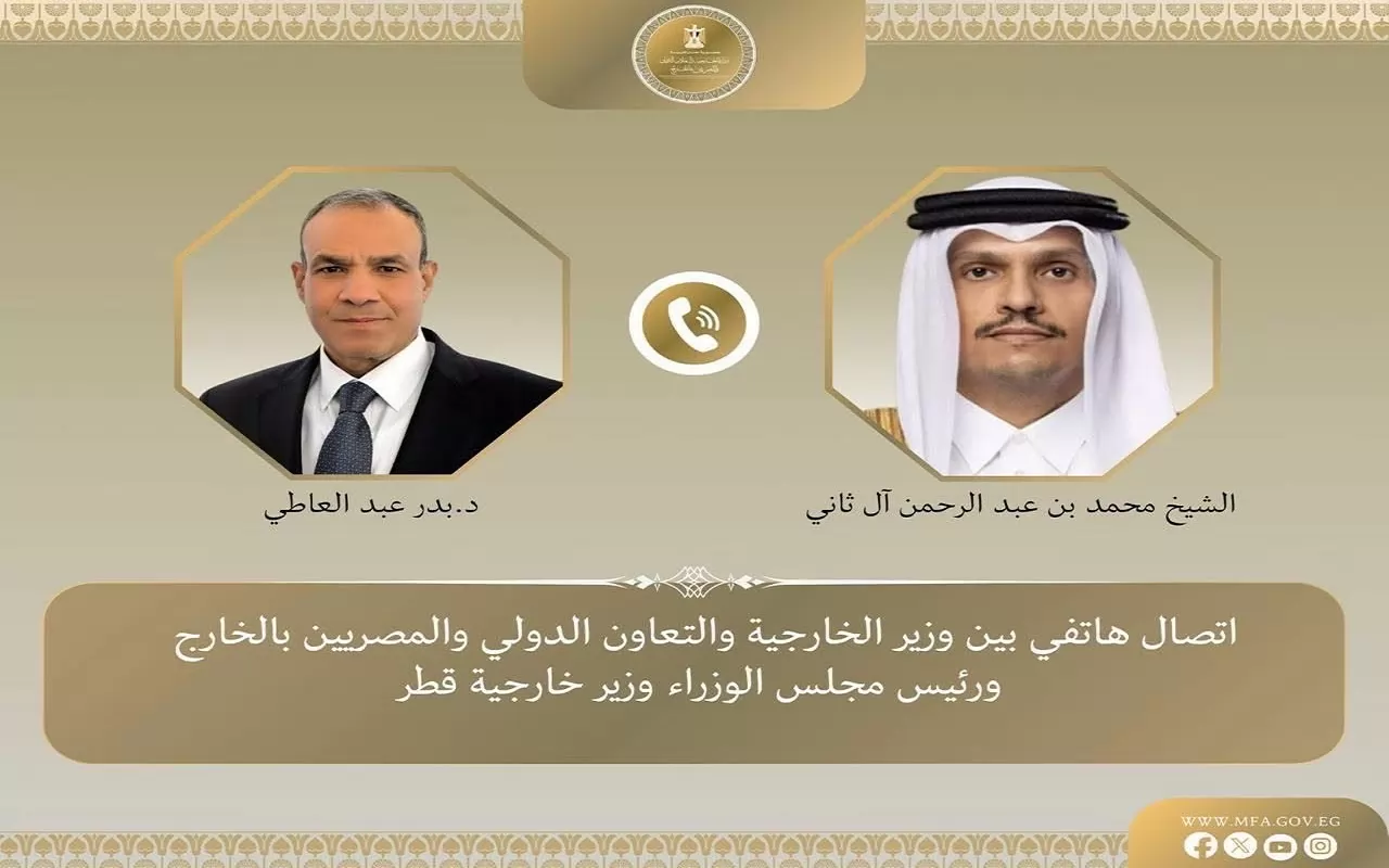 وزير الخارجية بدر عبدالعاطي