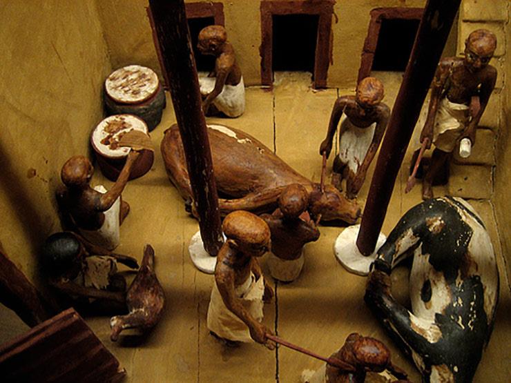  على أبو دشيش: 