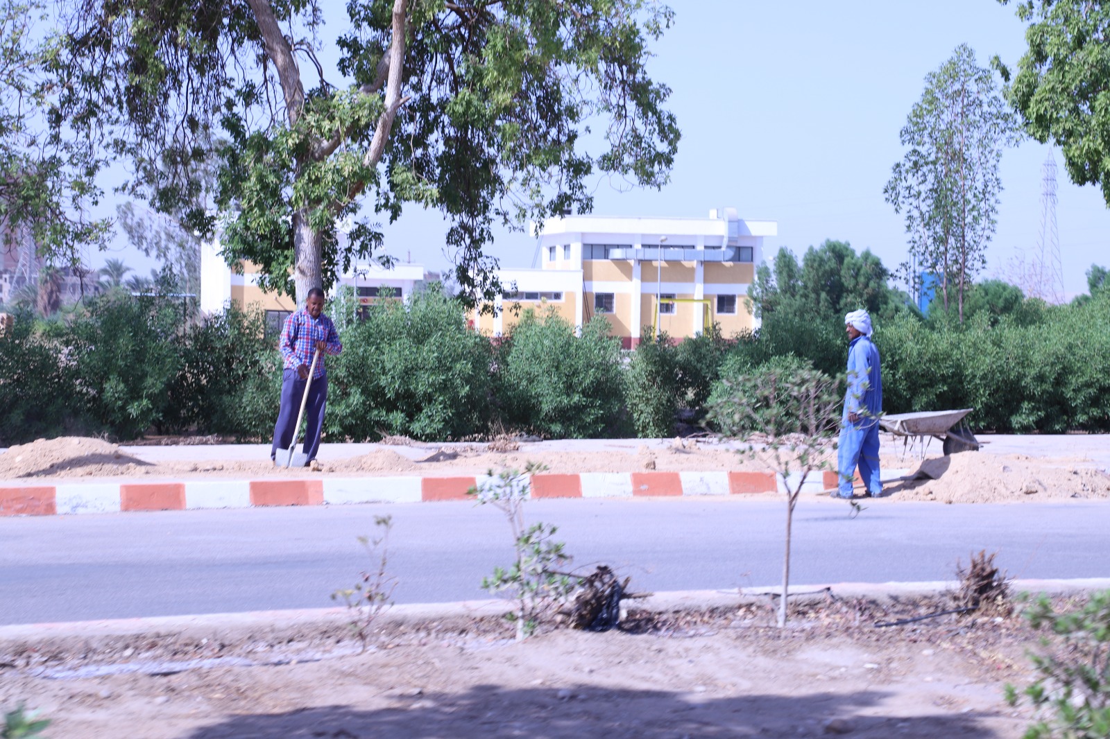 رفع كفاءة الطرق بشوارع الحرم الجامعي بجامعة جنوب الوادي