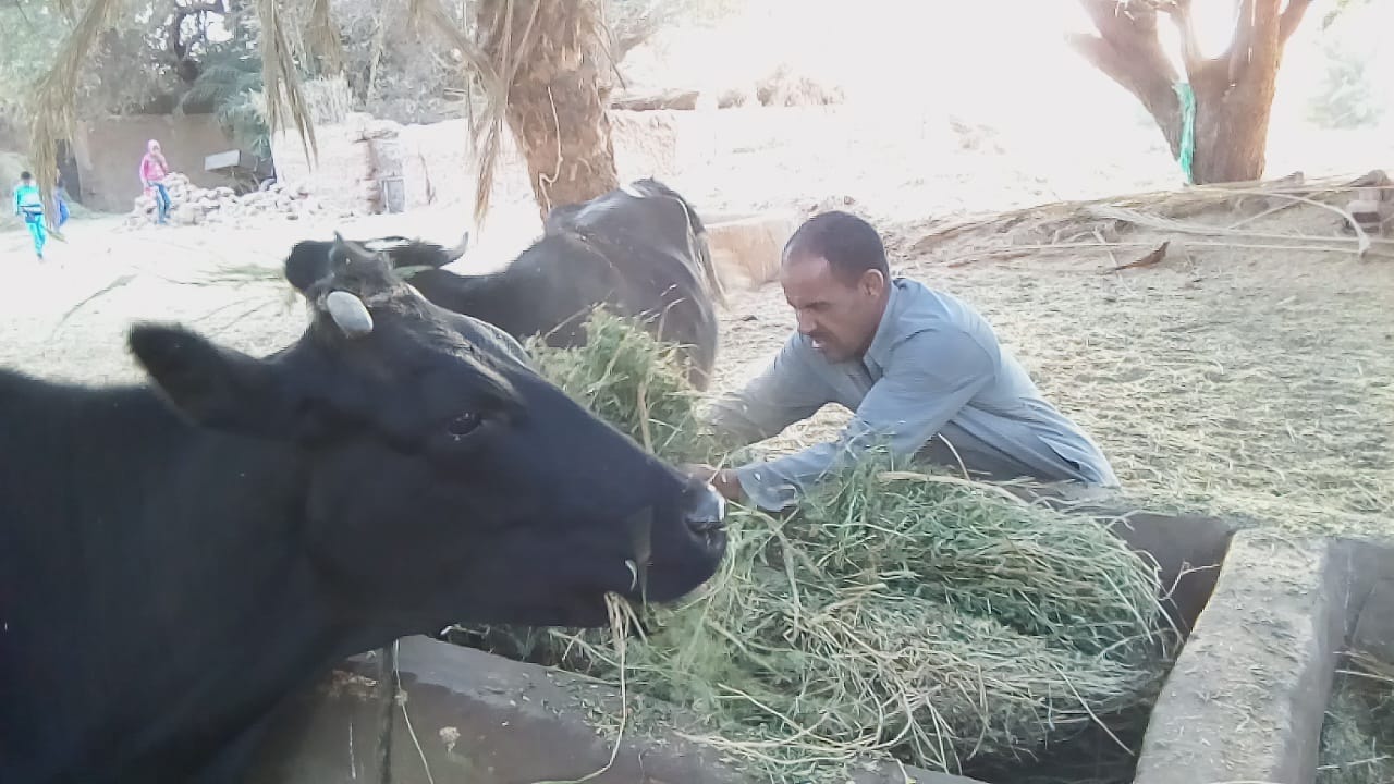 حمدى فقد بصره منذ ٤٧ عاما يري بنور قلبه فى الظلام  ويتمنى زيارة الكعبة .. صور 
