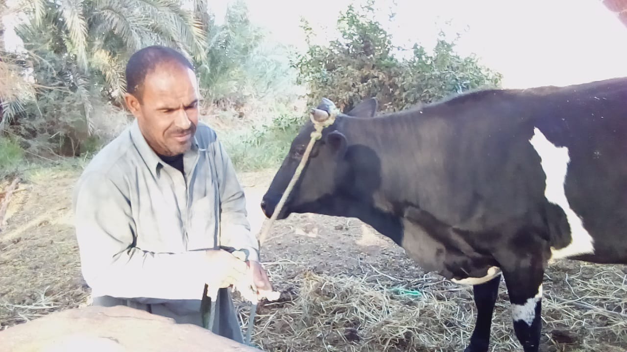 حمدى فقد بصره منذ ٤٧ عاما يري بنور قلبه فى الظلام  ويتمنى زيارة الكعبة .. صور 