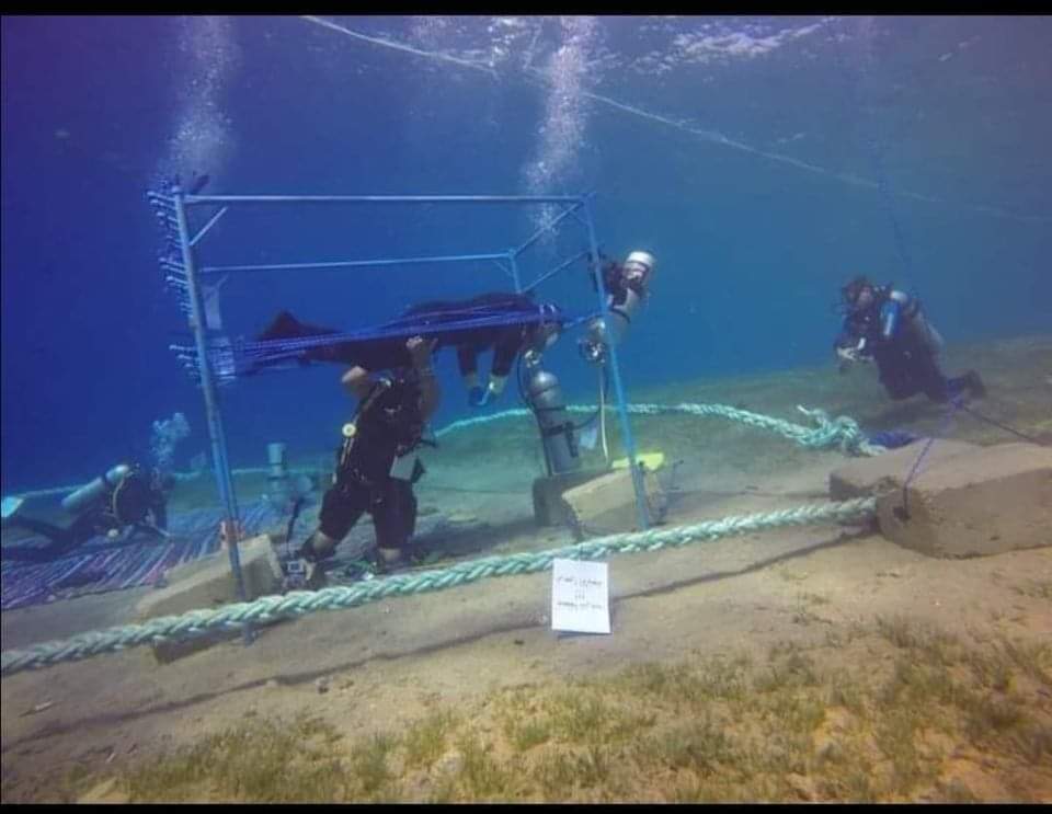 صدام الكيلاني يسعي لتسجيل رقم قياسي جديد