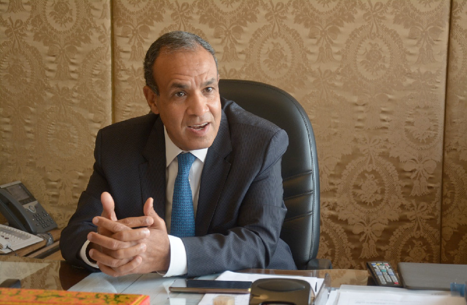 السفير بدر عبدالعاطي وزير الخارجية