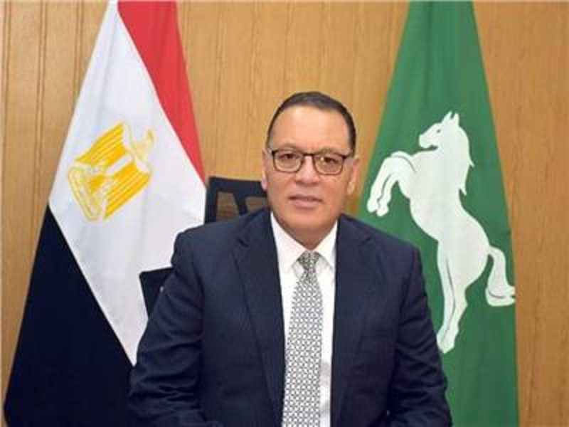 الدكتور ممدوح غراب- محافظ الشرقية 