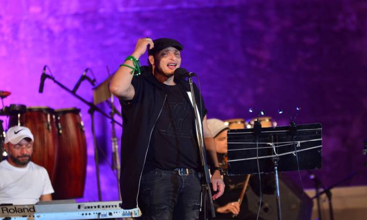 وائل الفشنى