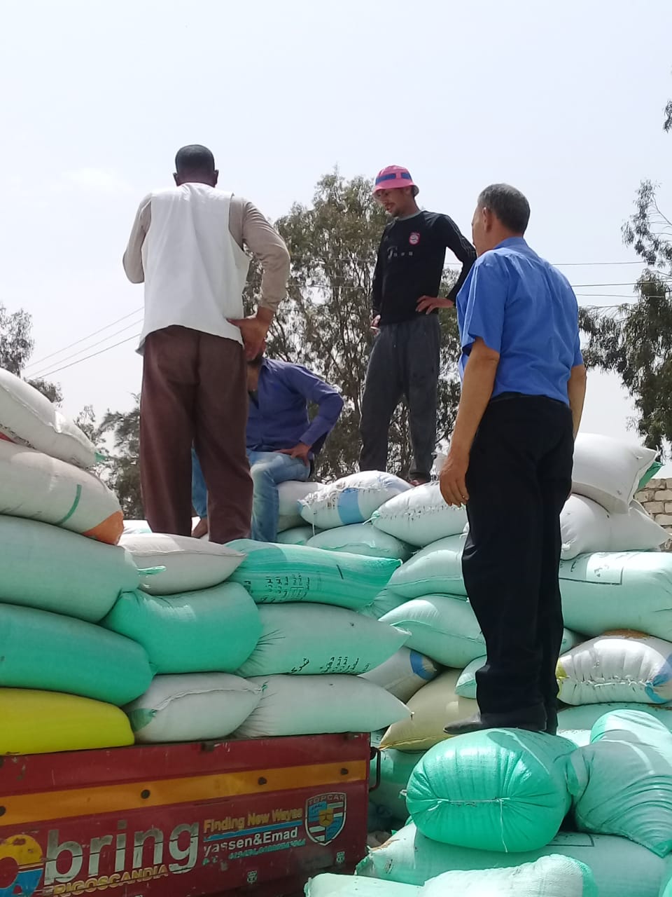  توريد 2 مليون و145 الف اردبا من القمح لصوامع وشون الشرقية