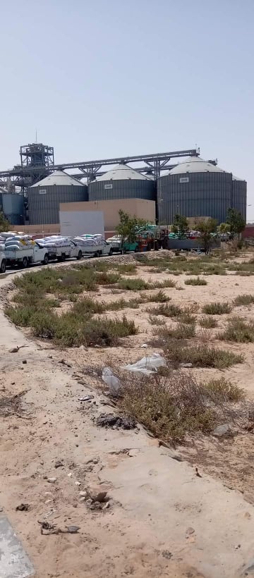 فرحة الحصاد..السنابل الذهبية  تتدفق على صوامع شرق الإسماعيلية ..صور