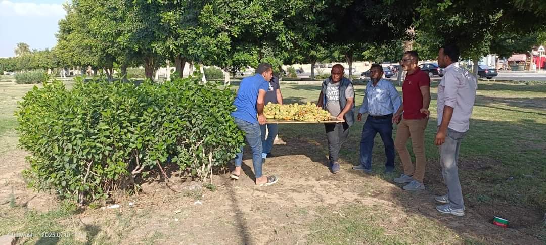 رشاد: حملات صباحية وليلية للتصدى لاى مخالفة بمدينة العبور
