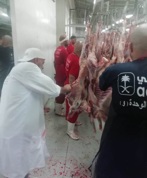 أطباء البعثة المصرية يشاركون في فحص لحوم الأضاحي بالمملكة العربية السعودية