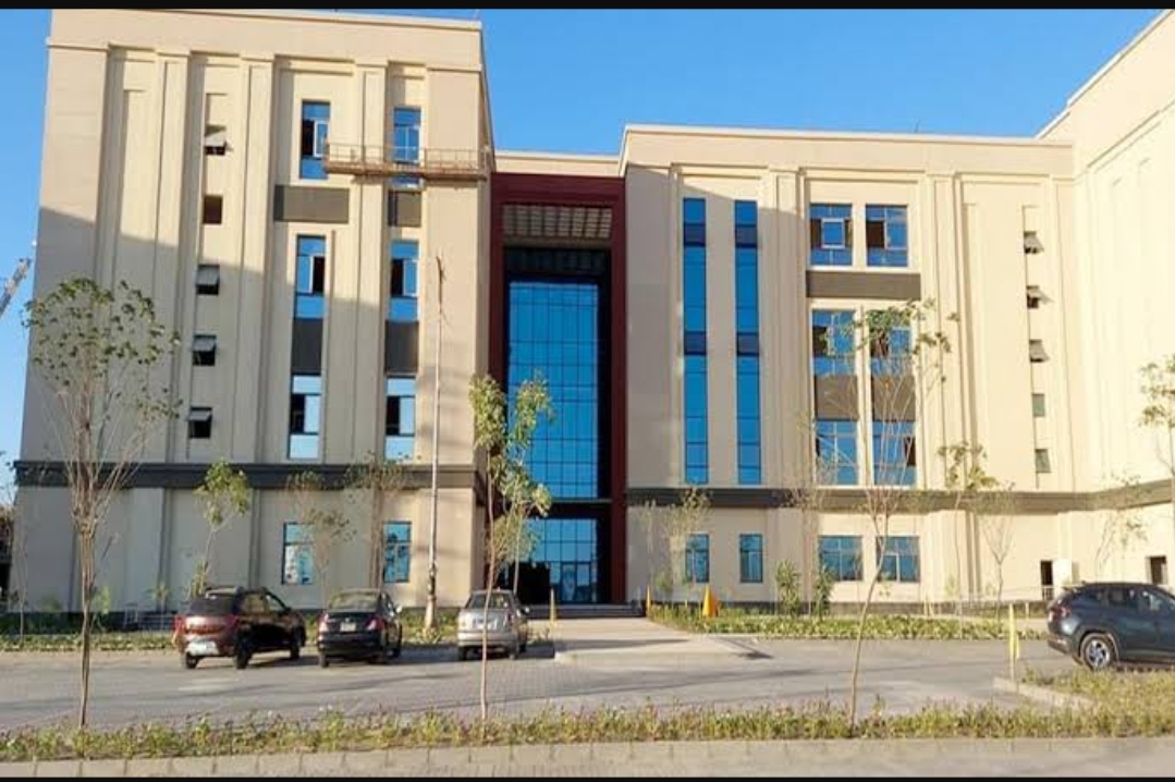 جامعة المنصورة الجديدة 