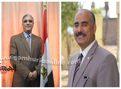 محمود الفولى و طارق سعد