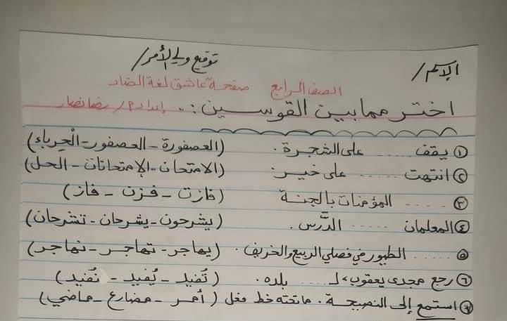 ارشيفية