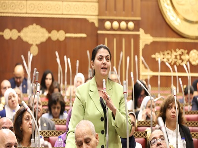 هند جوزيف عضو لجنة  الدفاع والامن القومي بمجلس الشيوخ