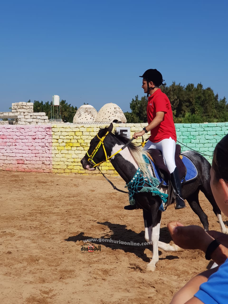 تحدى التوحد.. بالتفوق فى الاعدادية والثانوية وركوب الخيل 