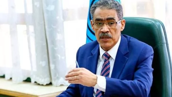 ضياء رشوان وزير الدولة للإعلام