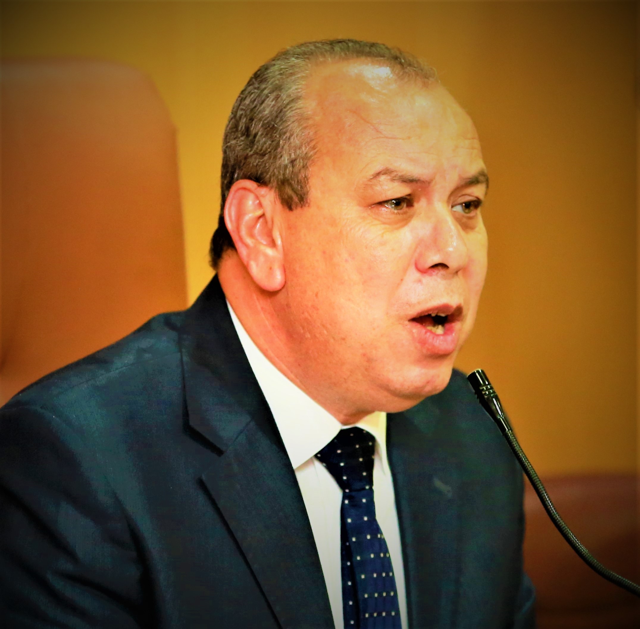 إسماعيل عبدالحميد طه محافظ كفرالشيخ