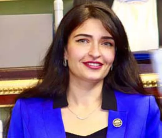 النائبة د. إيرين سعيد