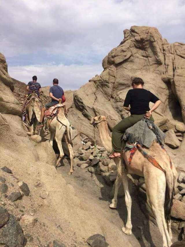 محمية أبو جالوم بجنوب سيناء  .. تعرف علي جمال الطبيعة