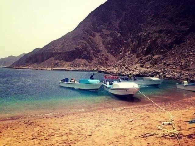 محمية أبو جالوم بجنوب سيناء  .. تعرف علي جمال الطبيعة