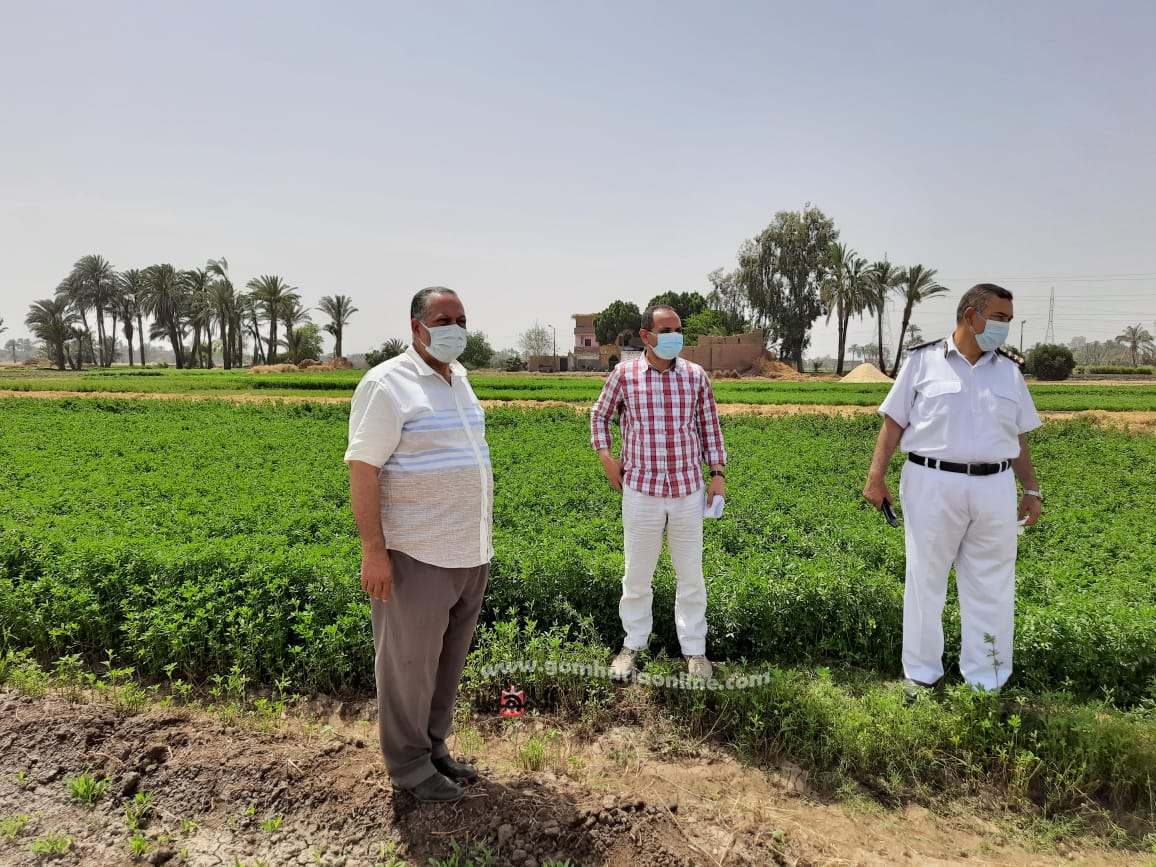 محافظ أسيوط: إزالة تعديات على أراضي زراعية بقرية منقباد خلال حملة برئاسة السكرتير العام والمساعد وتكثيف الحملات خلال أجازة العيد