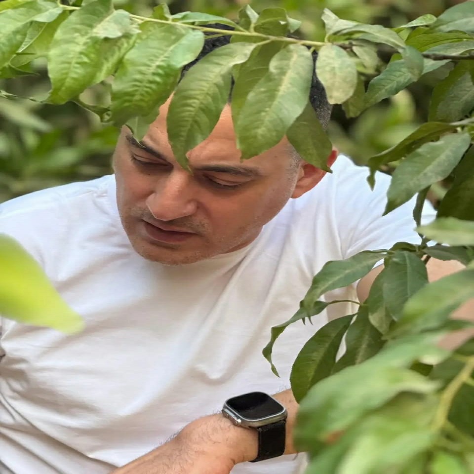 الفنان محمد دياب