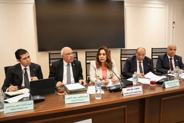 وزيرة التنمية المحلية والبيئة خلال اجتماع لجنة الإدارة المحلية بمجلس النواب